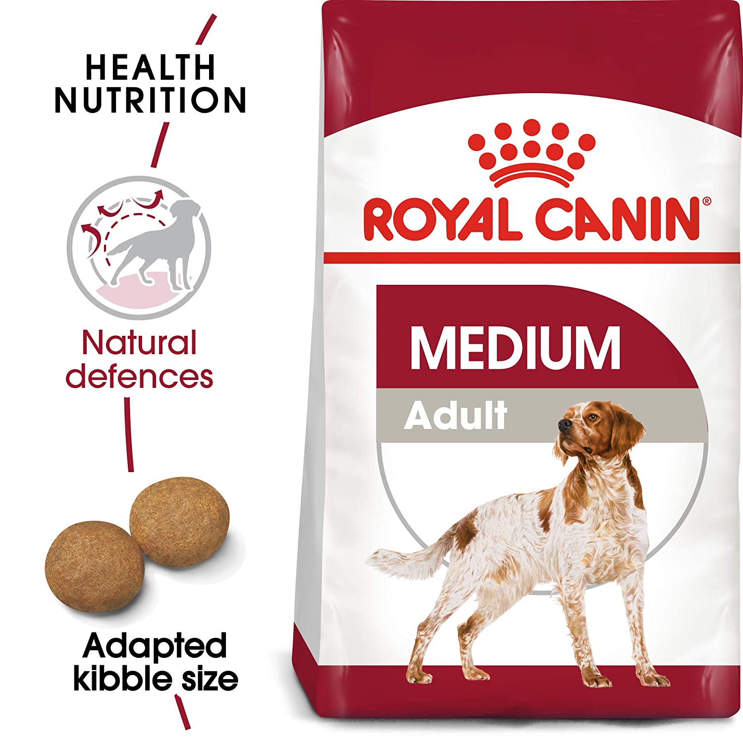 Nutrition for adult dogs
