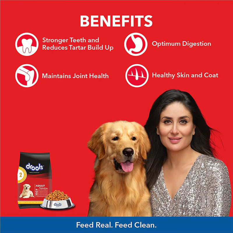 Drools Chicken and Egg Adult Dry Dog Food