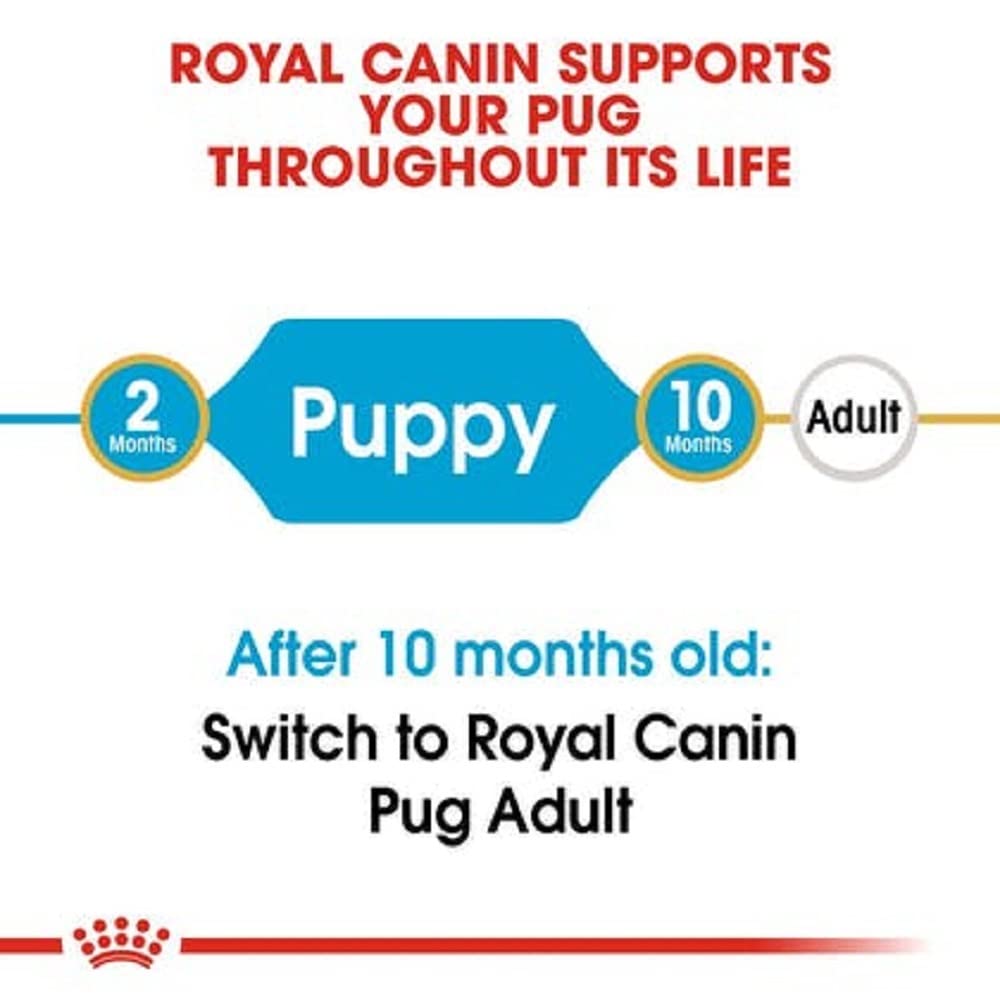 Small kibble of Pug puppy food by Royal Canin