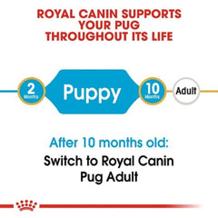 Small kibble of Pug puppy food by Royal Canin