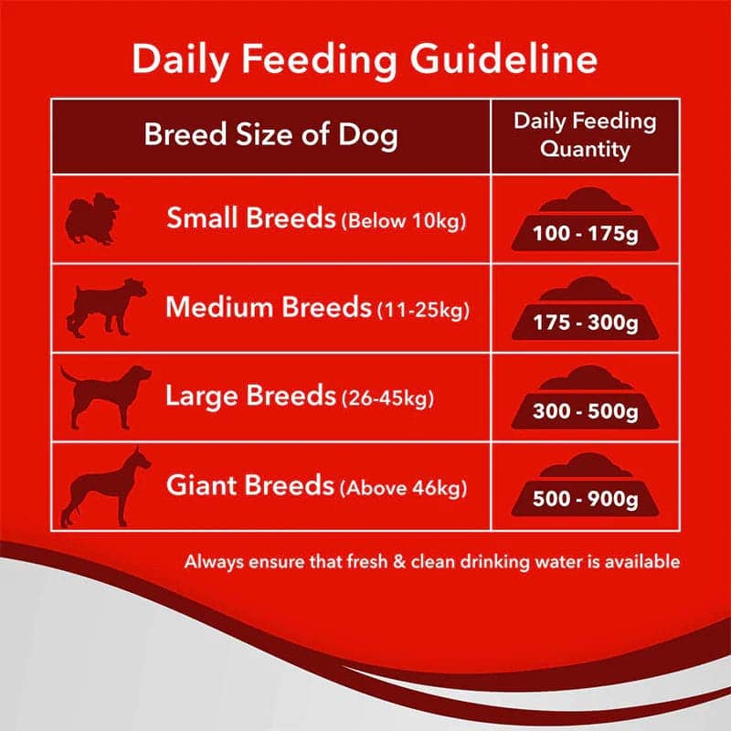 High-protein dog food
