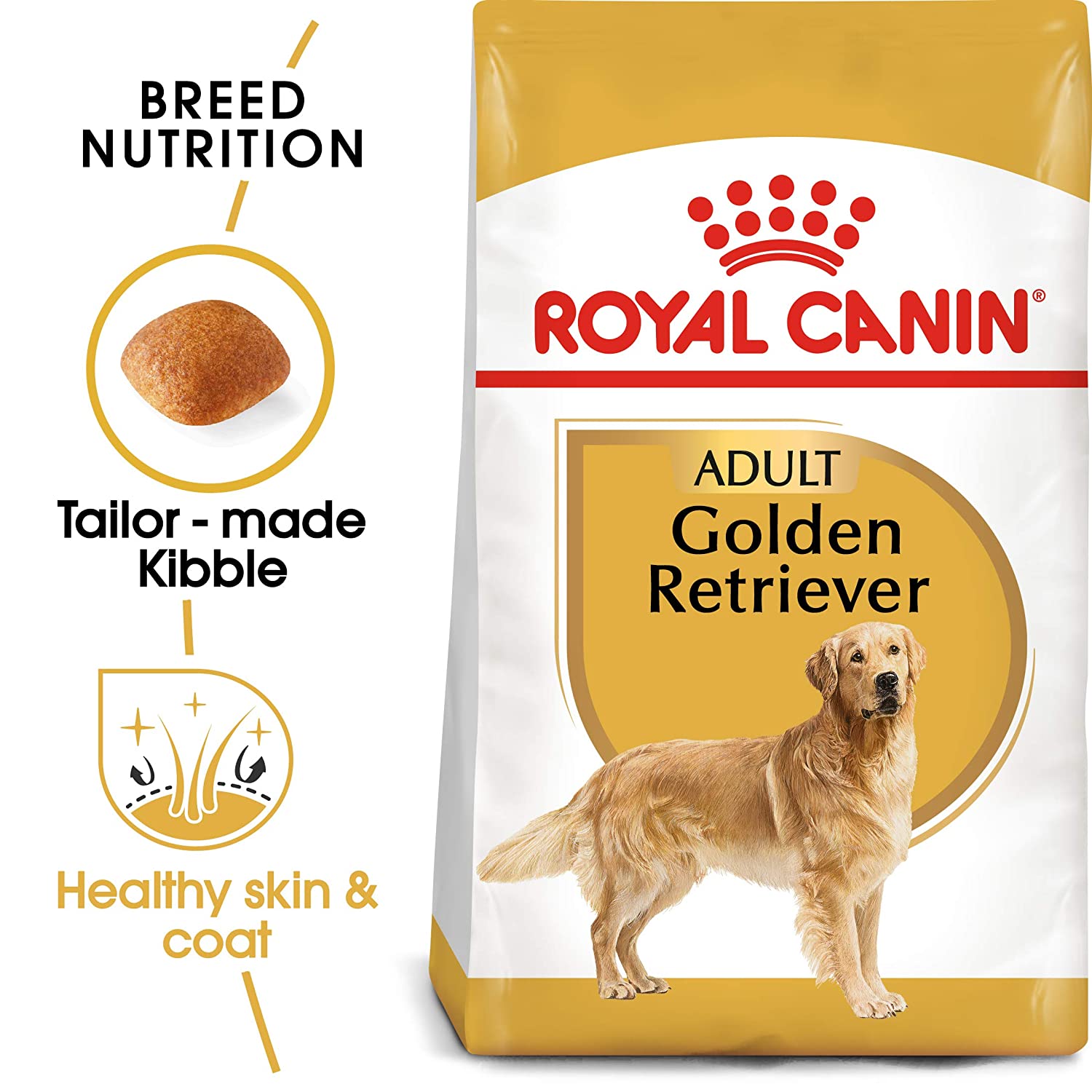 Golden Retriever eating Royal Canin food