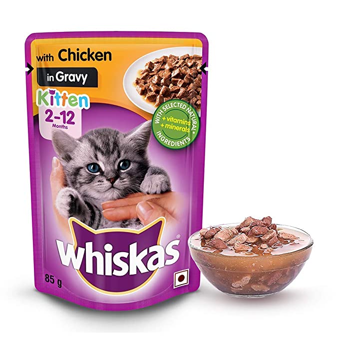 Whiskas Kitten Wet Cat Food Chicken in Gravy