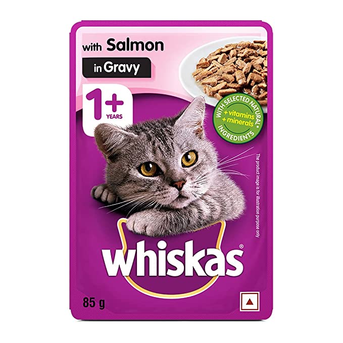 Salmon-flavored food for cats
