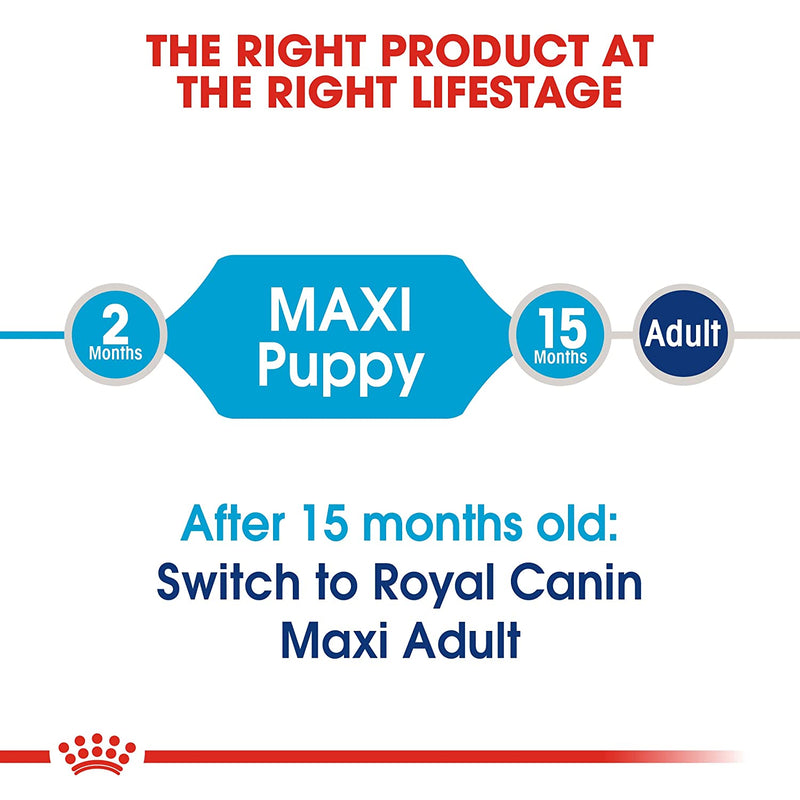 Royal Canin Dry Dog Food Maxi Puppy, Meat Flavour