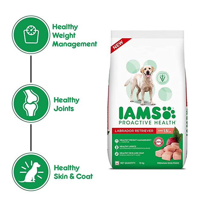 Iams Adult Labrador