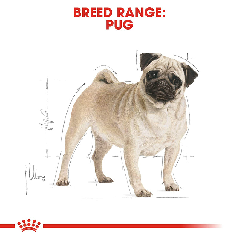 Royal Canin Pug Adult Dog Dry Food