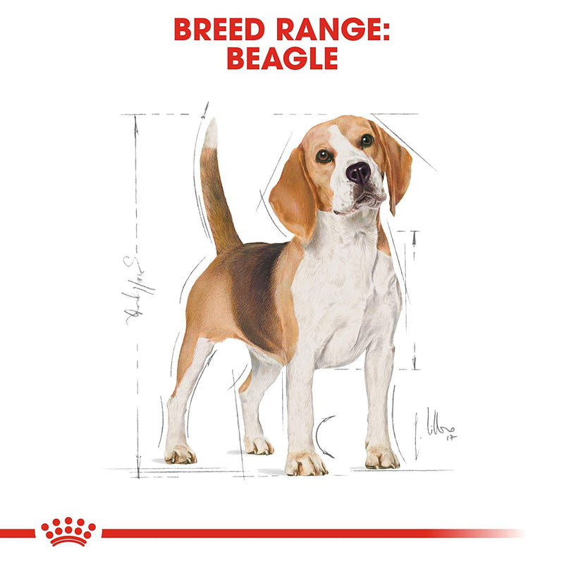 Royal Canin Beagle Adult Dry Dog Food, 3 kg