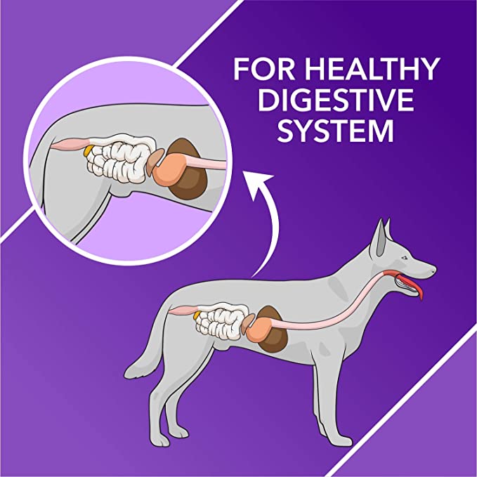 Drools Absolute Digestive Tablet Dog Supplement