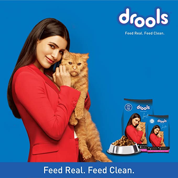 Drools Adult Dry Cat Food, Mackerel