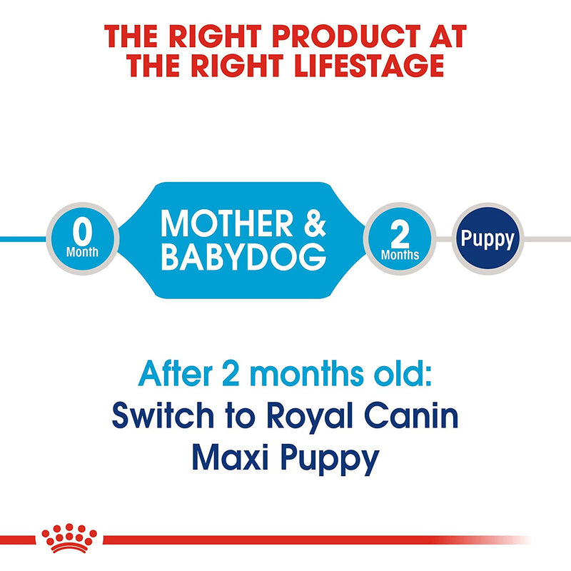 Royal Canin Maxi Starter Mother & Babydog Dry Dog Food