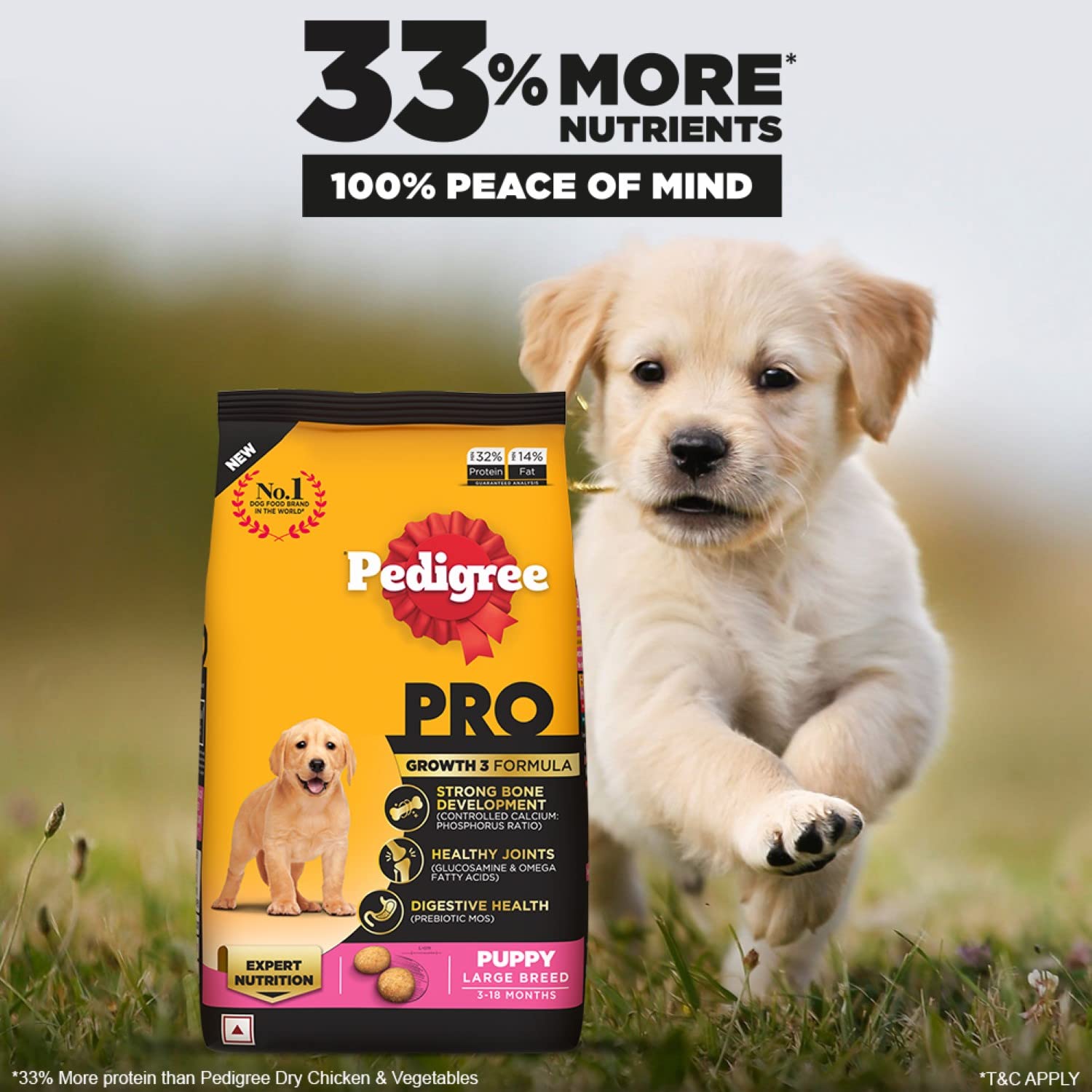 Large breed puppy nutrition