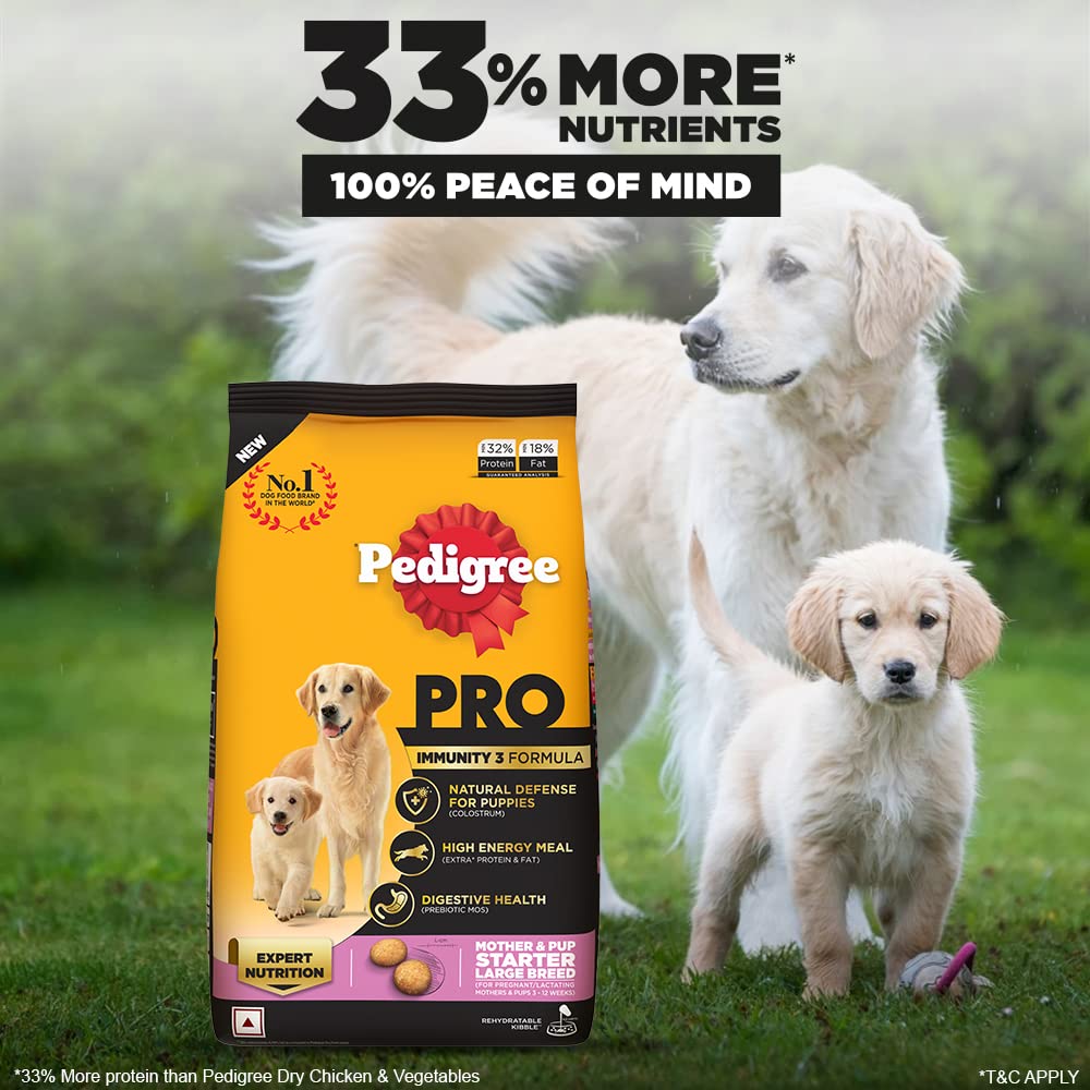 Large breed puppy food from PEDIGREE, showing a healthy puppy eating the starter formula.