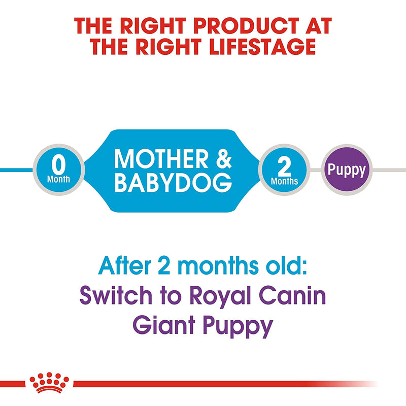 Royal Canin Starter Giant Mother and Babydog Dry Dog Food