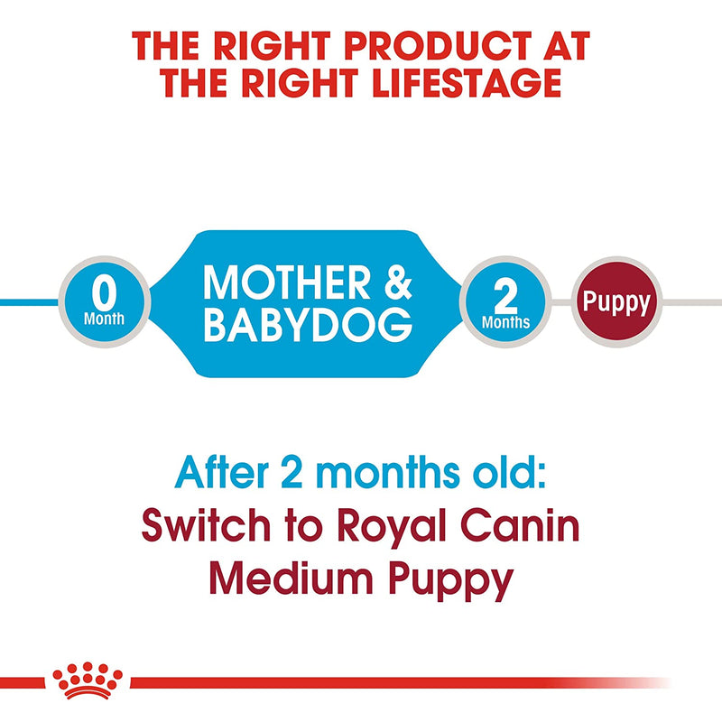 Royal Canin Starter Medium Breed Mother & Babydog Dry Dog Food