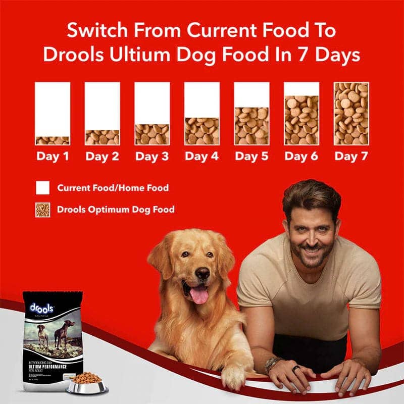 Drools Ultium Performance Adult Dog Dry Food 20 kg