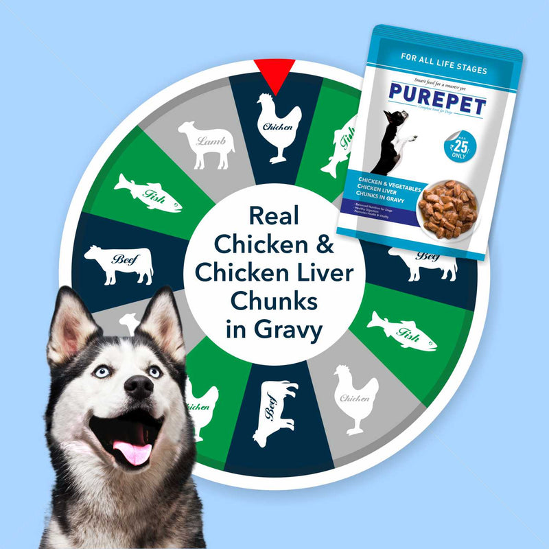 Purepet Chicken & Vegetable Chunks in Gravy Adult Dog Wet Food 70 g