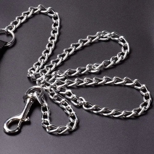 Durable Metal Dog Leash
