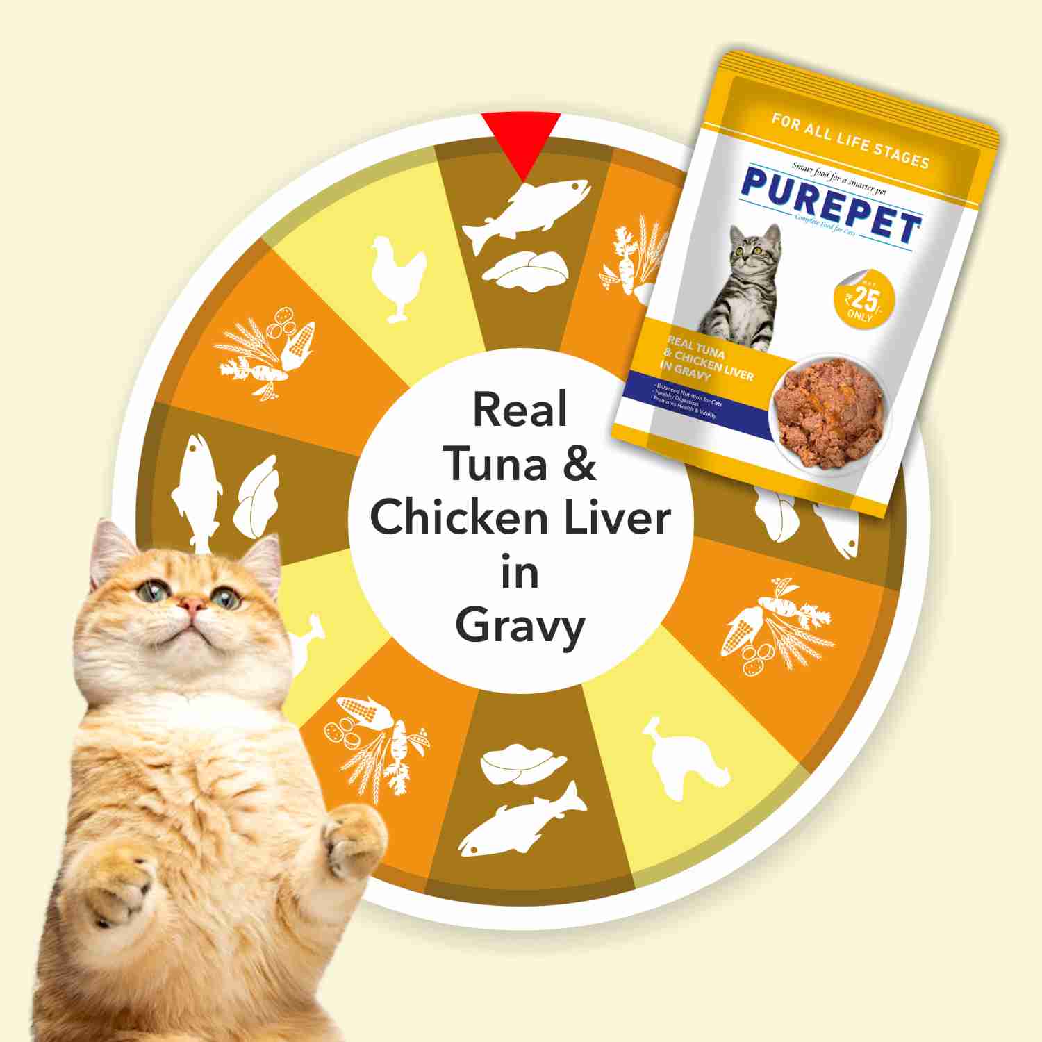 Purepet 50g Cat Wet Food
