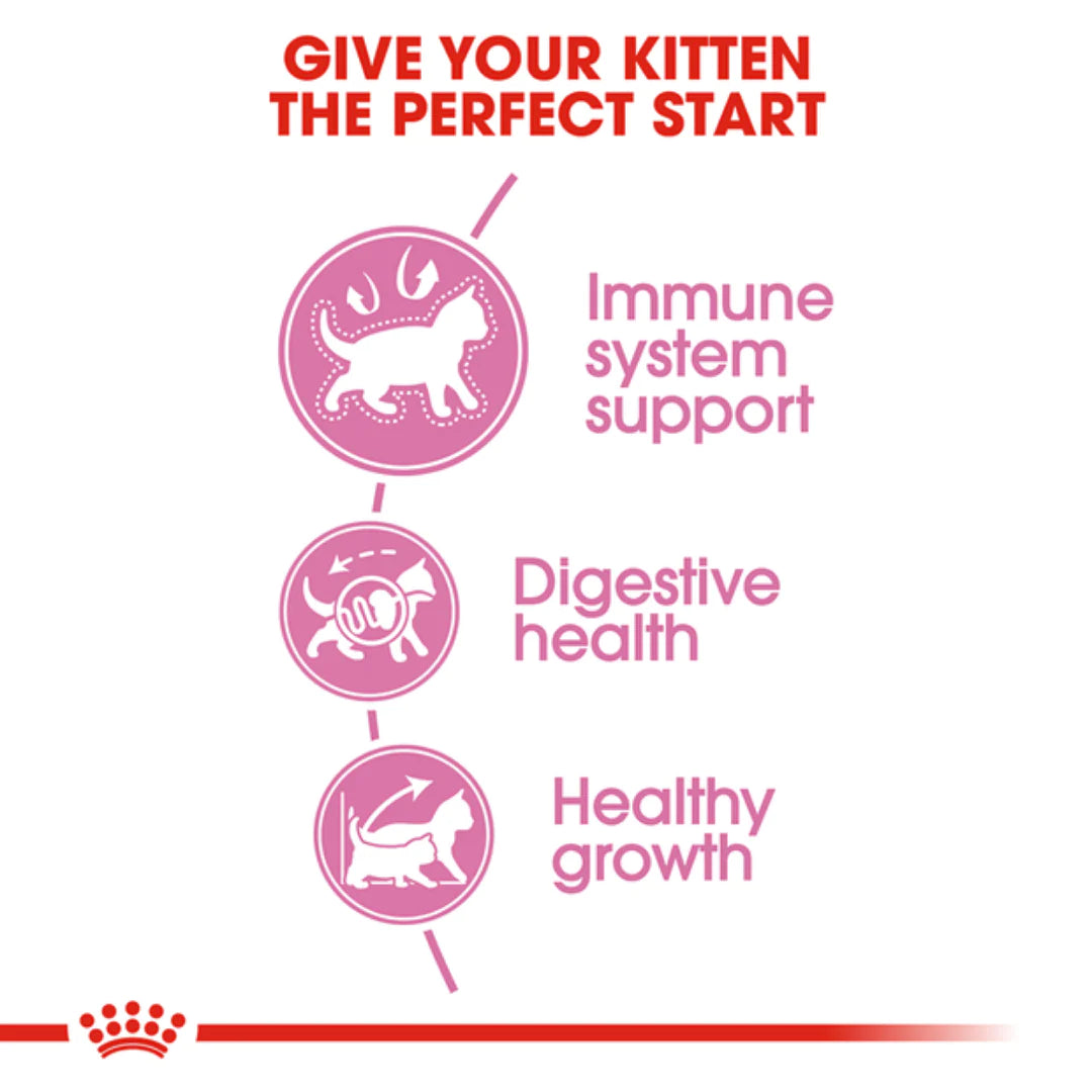 Kitten food for healthy growth
