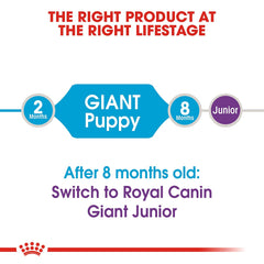 Premium puppy food for muscle growth