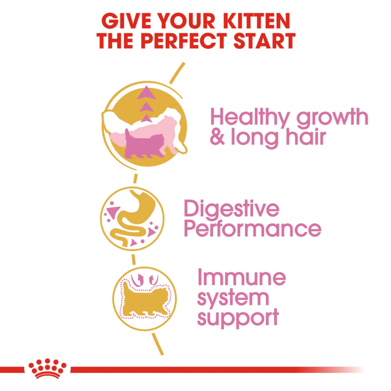 Royal Canin Persian Kitten Breed Dry Cat Food