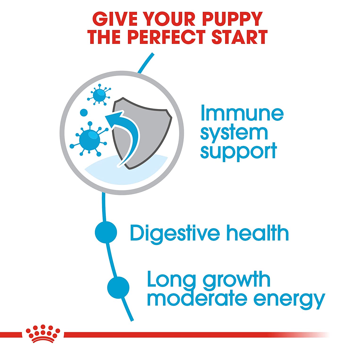 Bone development food for puppies
