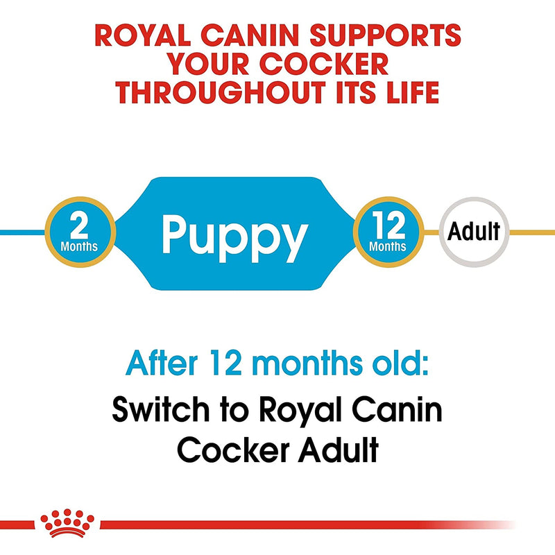 Royal Canin Cocker Puppy, 3 kg (Pack of 1)