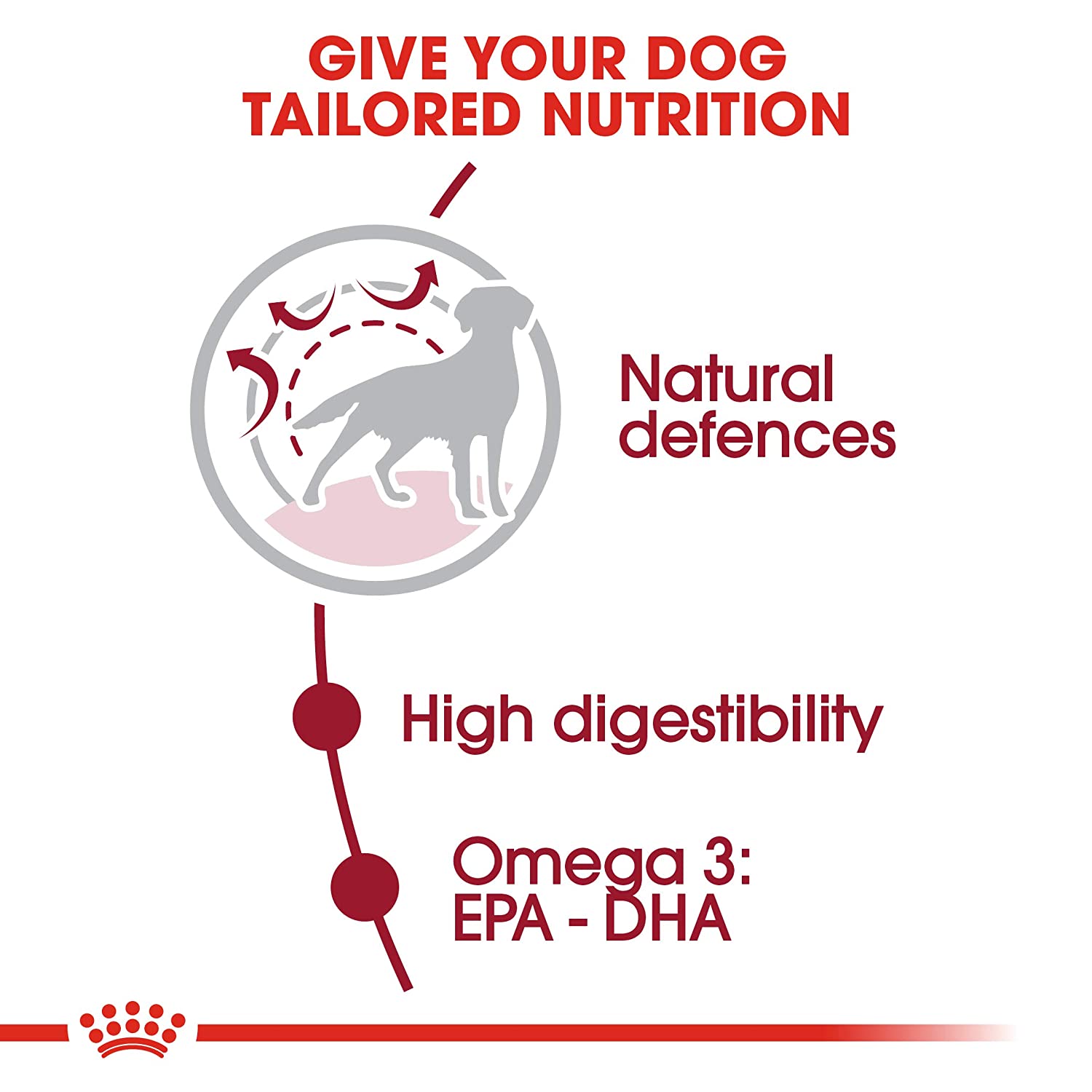 Dog food for digestion support
