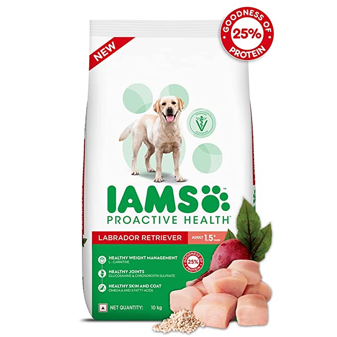 Iams Adult Labrador