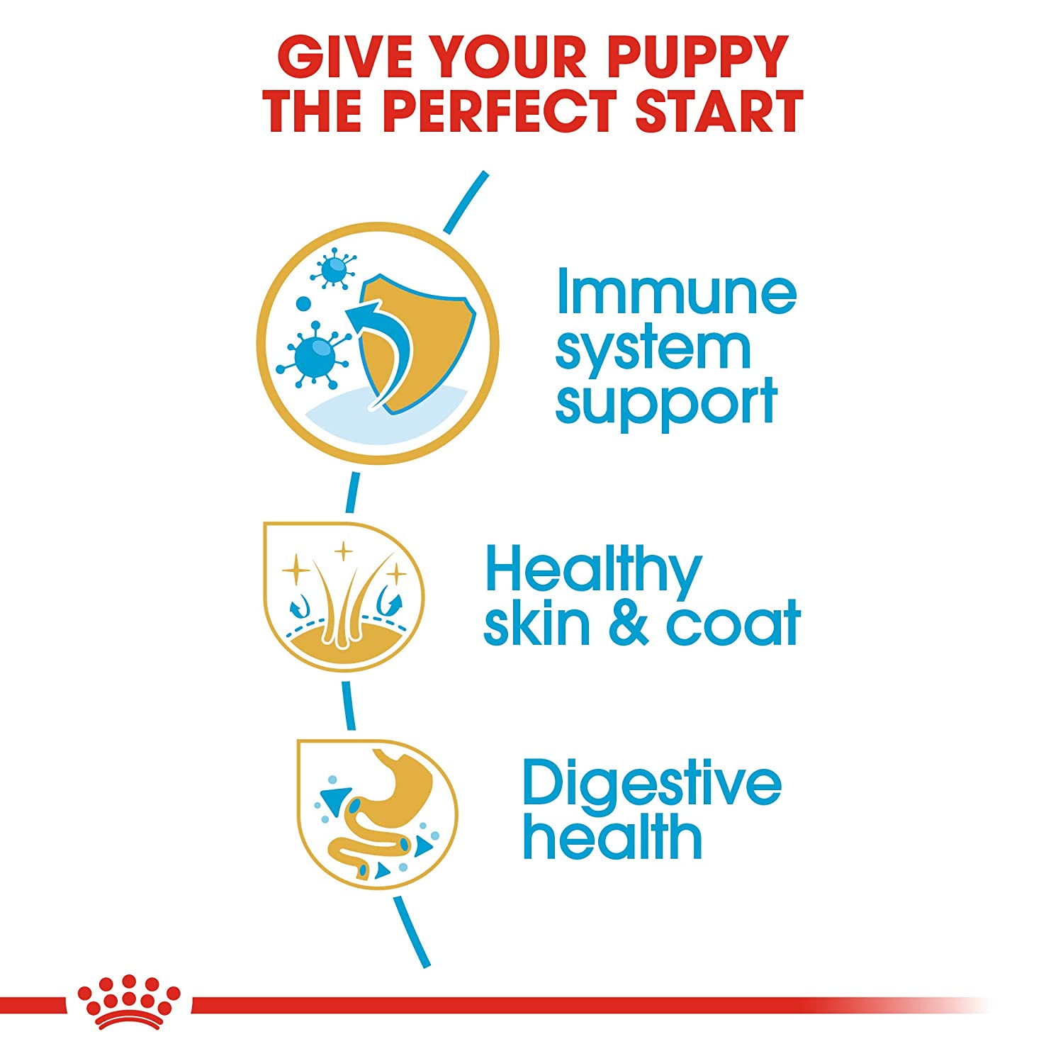 Nutrient-rich dog food for Golden Retriever puppies in India.