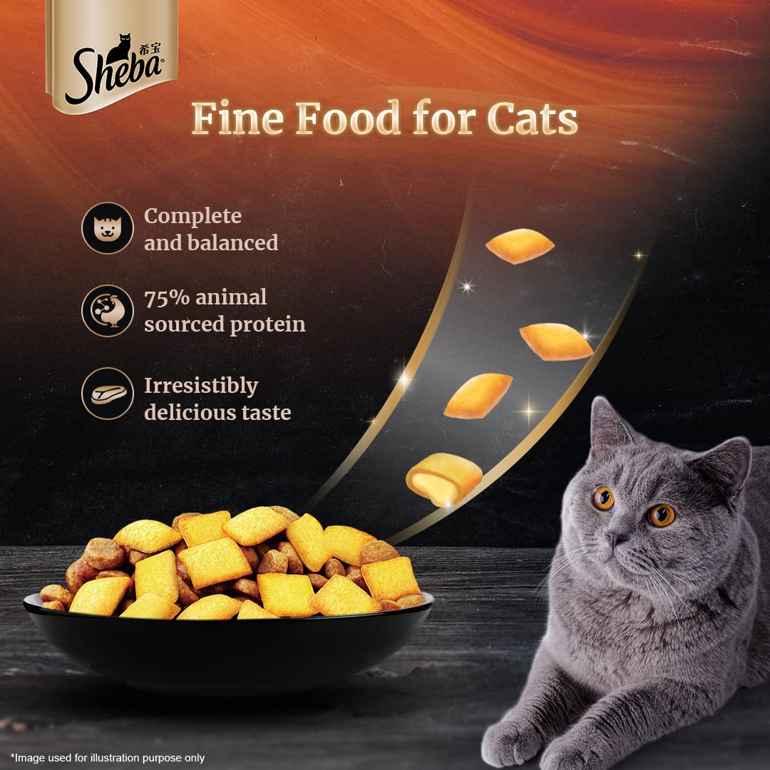 All life stages cat nutrition
