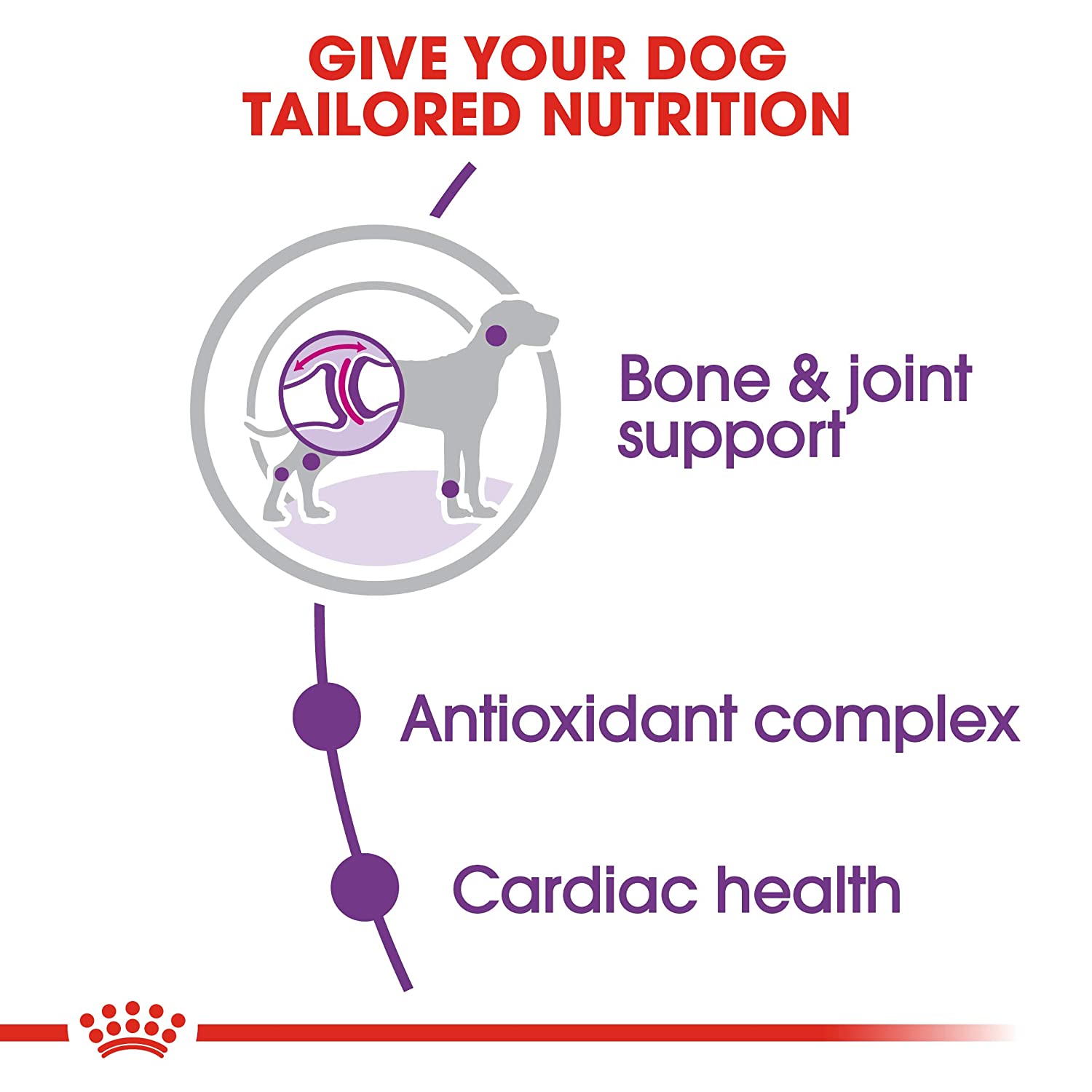 Nutrient-rich formula for large dogs with special dietary needs.