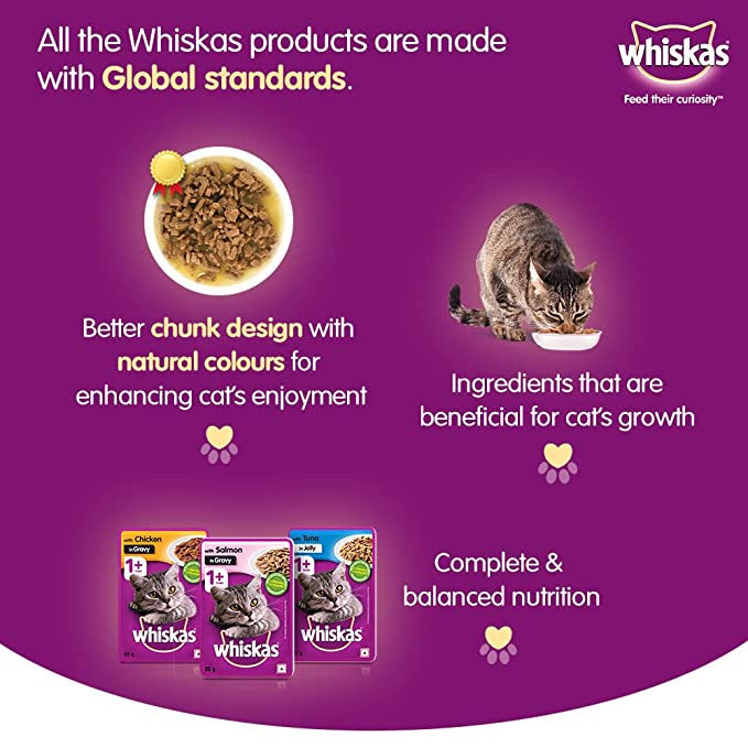 Omega-3 wet food for cats
