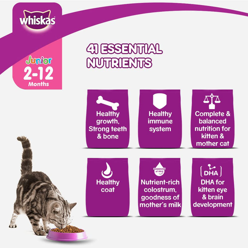 WHISKAS  Kitten Dry Food, Mackerel