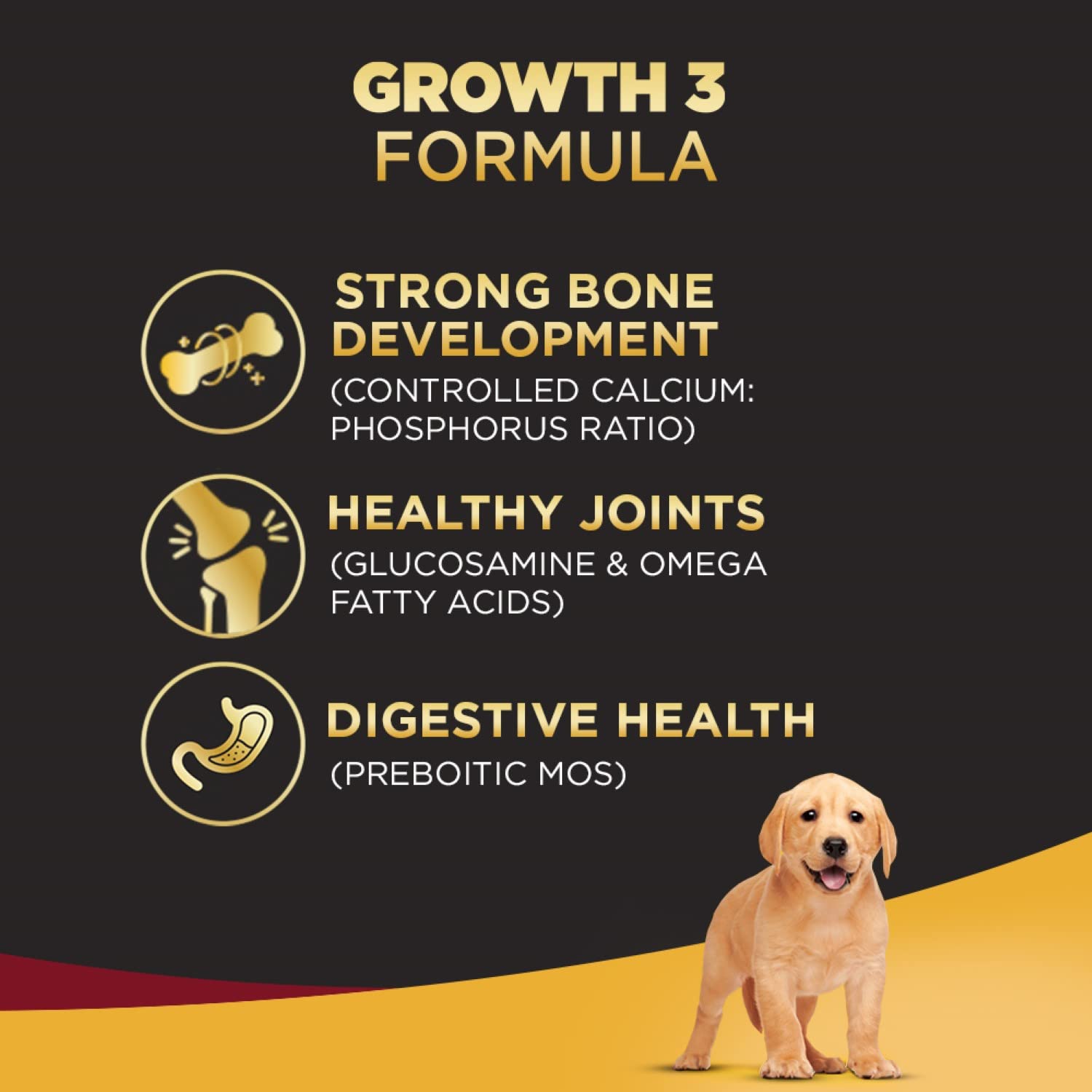 High-quality protein puppy food