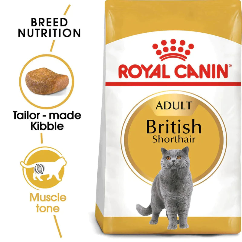 Royal Canin British Shorthair Adult Dry Cat Food, 2kg (Pack of 1)