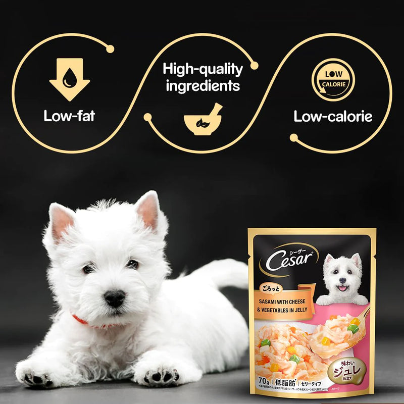 Cesar Sasami with Cheese & Vegetables in Jelly Adult Dog Wet Food