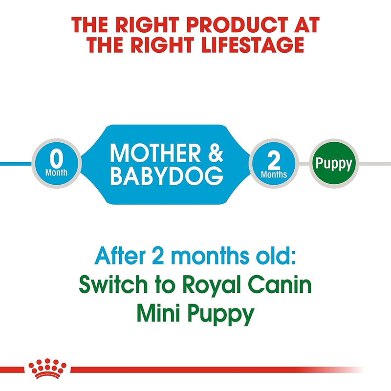 Royal Canin Mini Starter Mother & Babydog Dry Dog Food