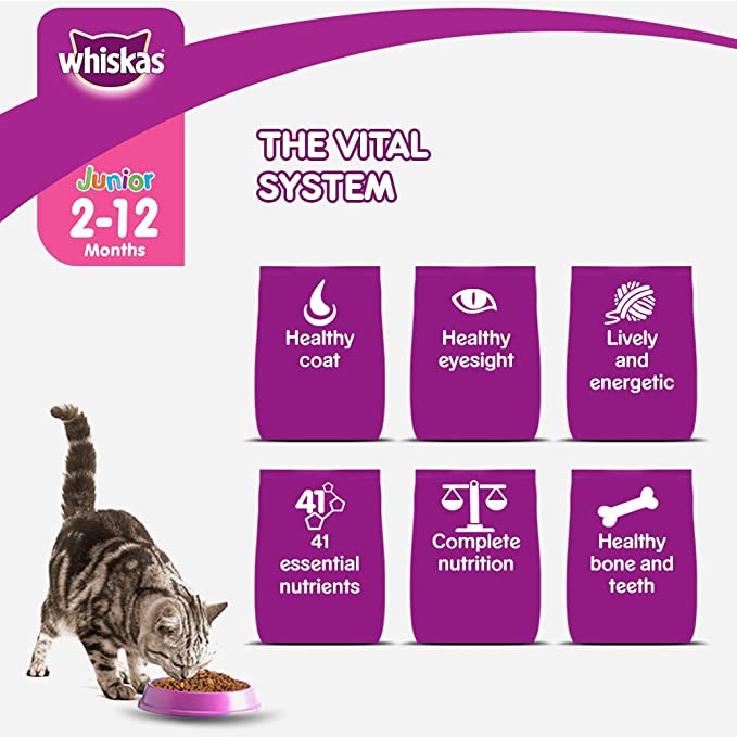 WHISKAS Kitten Dry Food, Ocean Fish with Milk