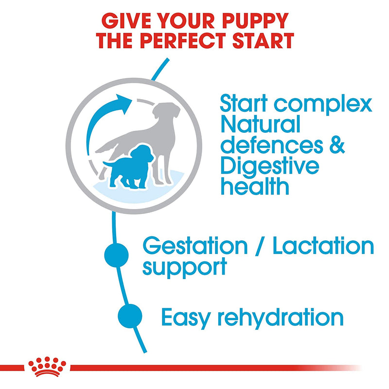 Royal Canin Starter Medium Breed Mother & Babydog Dry Dog Food