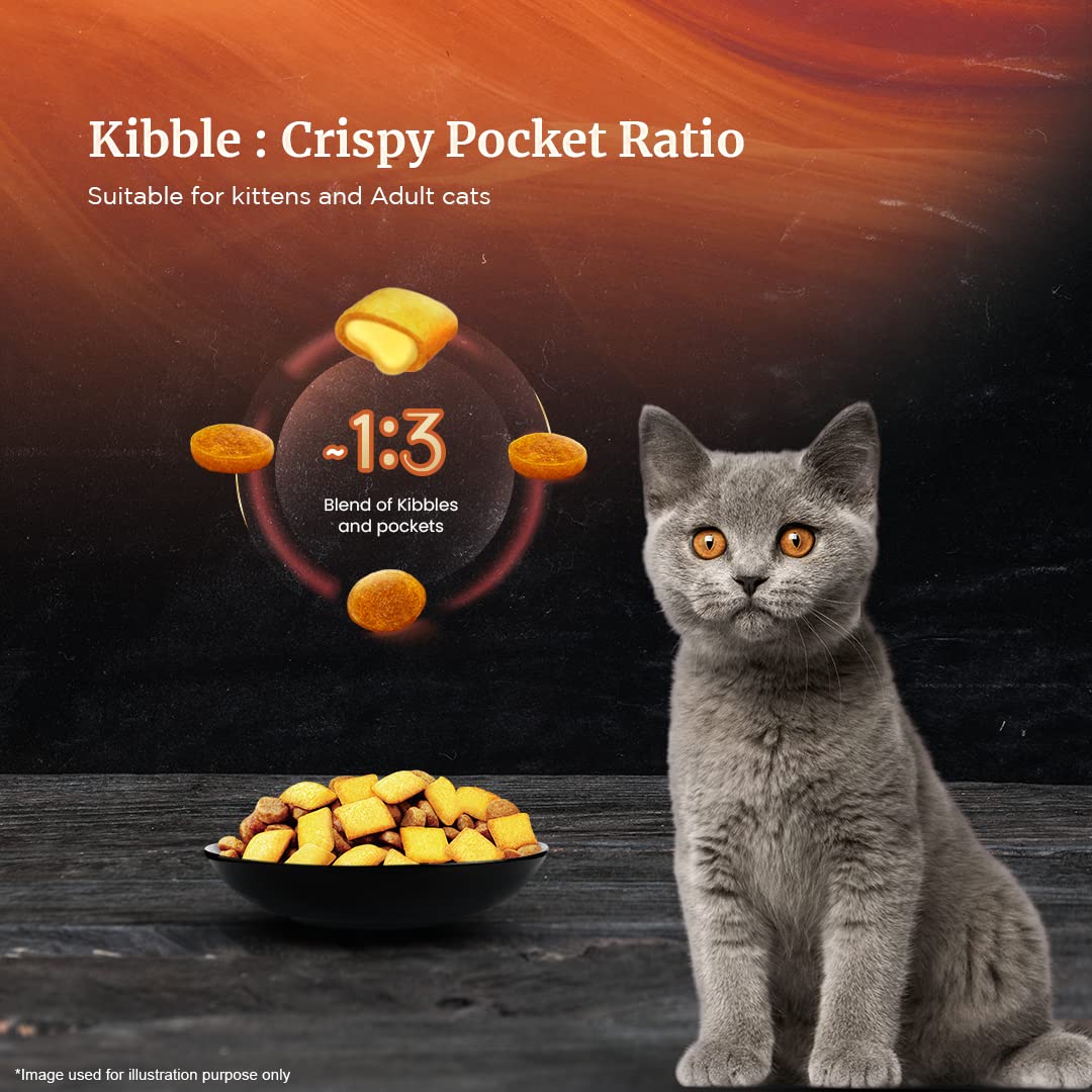 High-quality dry cat food
