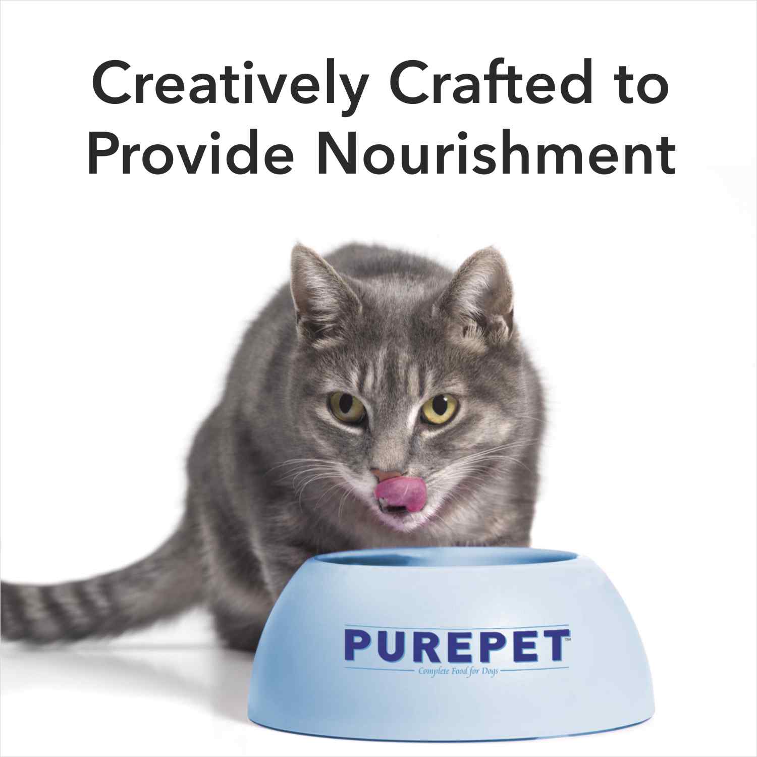 High-protein wet food for cats.
