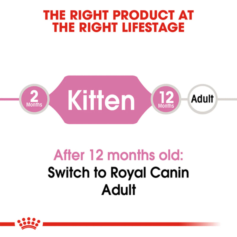 Royal Canin Kitten 36 Dry Cat Food