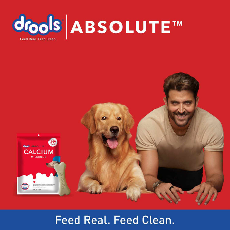 Drools Absolute Calcium Bone Pouch for Dogs 120g