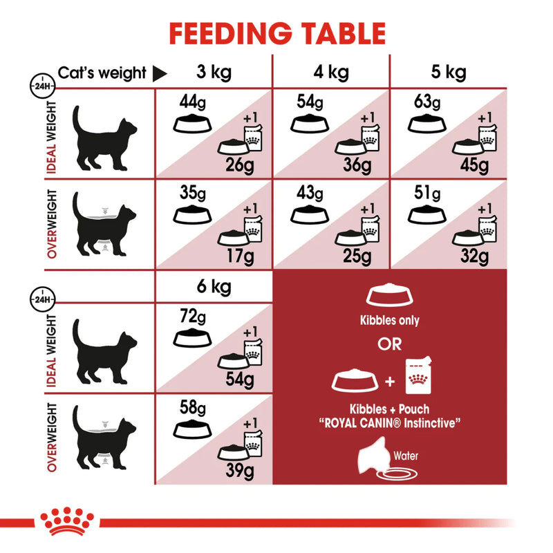 Royal Canin Fit Adult Dry Cat Food