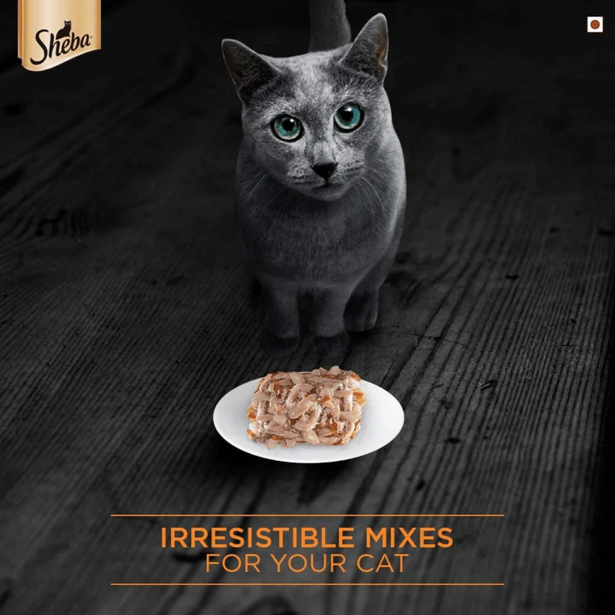 High-protein cat food
