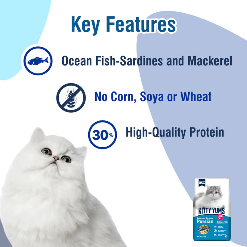 Kitty Yums Dry Cat Food for Persian Cats Ocean Fish