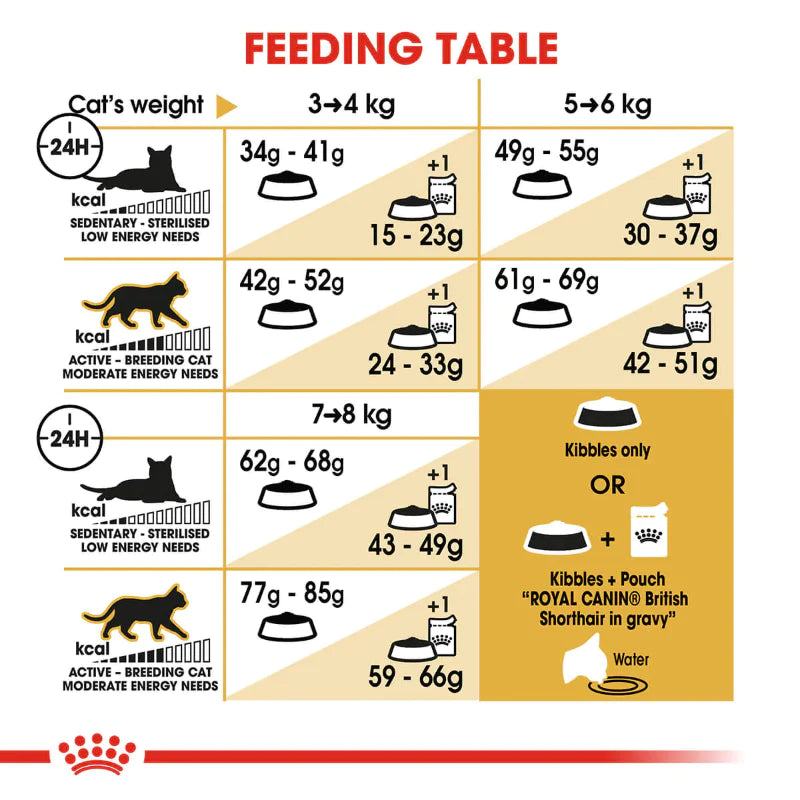 Royal Canin British Shorthair Adult Dry Cat Food, 2kg (Pack of 1)