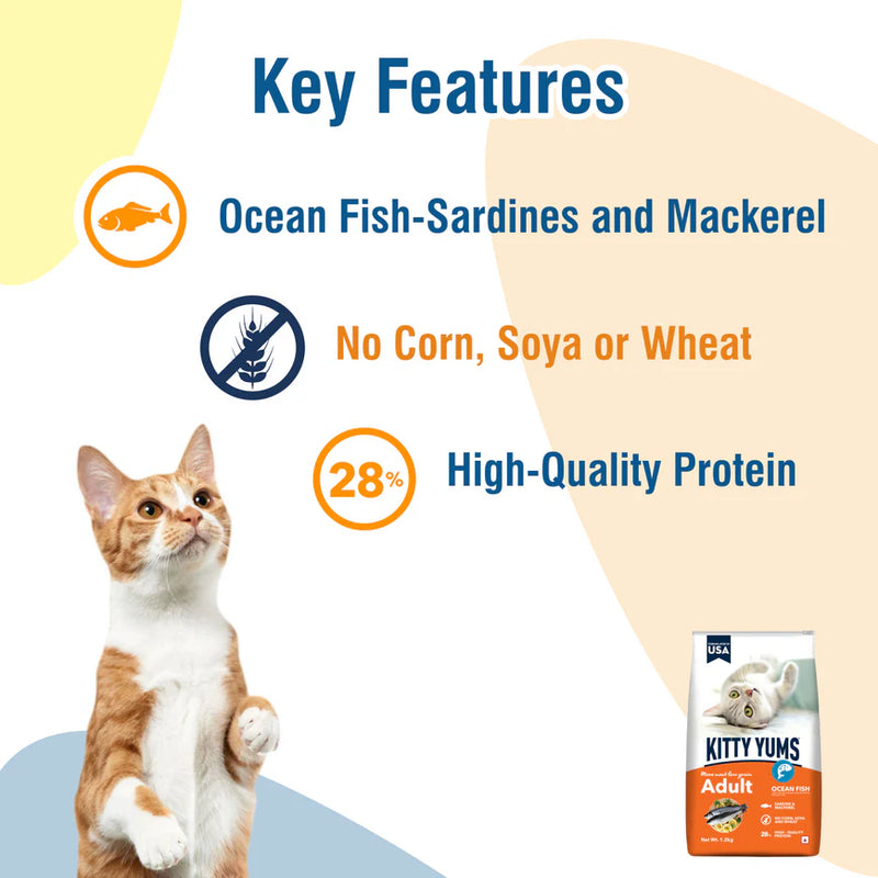 Kitty Yums Adult Dry Cat Food Ocean Fish